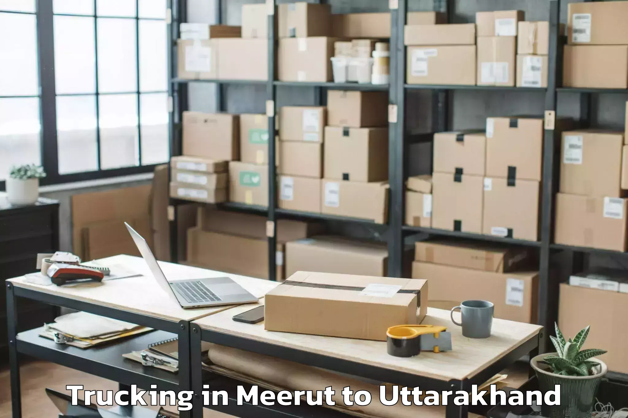 Easy Meerut to Khalsi Trucking Booking